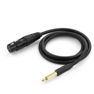 Ugreen 6.35mm to Cannon Female AV Cable 音頻線 (2M)